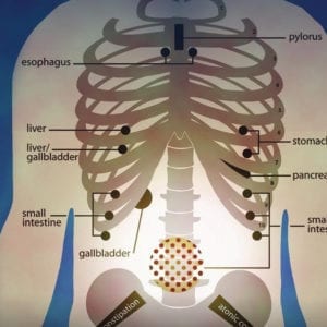 Functional Gastrointestinal Exam Skills | Dr Steven Sandberg-Lewis