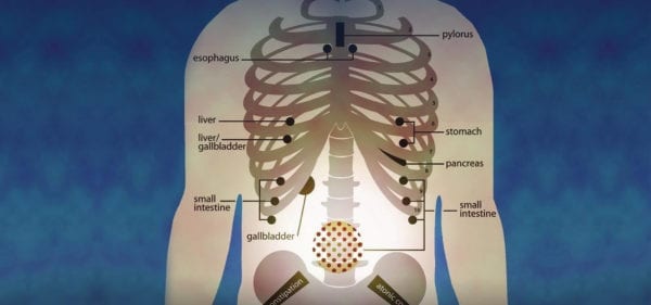 Functional Gastrointestinal Exam Skills | Dr Steven Sandberg-Lewis