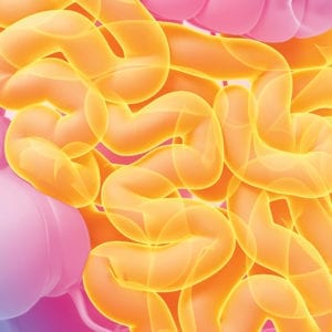 SIBO Histamine Bi-Phasic Diet