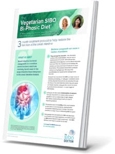 Vegetarian SIBO Bi-Phasic Diet