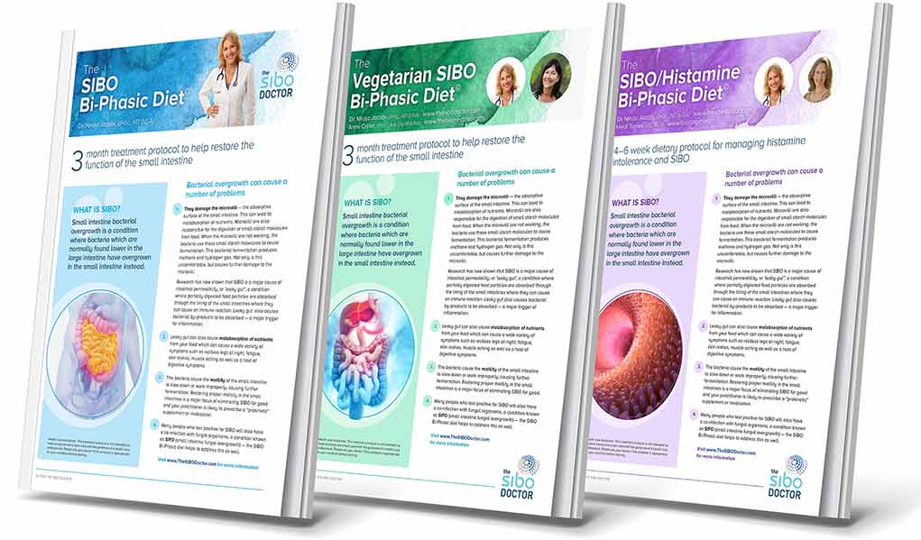Get started with Dr Jacobi’s Bi-Phasic Approach The SIBO Bi-Phasic Diet | Dr Nirala Jacobi